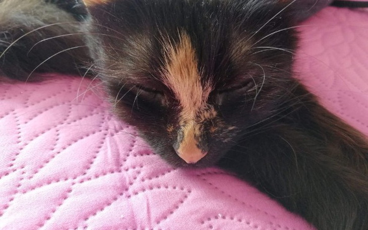 Zbiórka Pomoc dla Gabany - zdjęcie główne