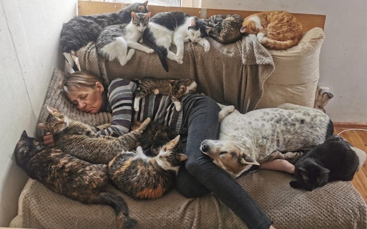 Kobieta śpiąca na kanapie, otoczona przez wiele kotów.
