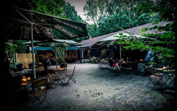 Zbiórka Leśniczówka - NA PRZETRWANIE - zdjęcie główne