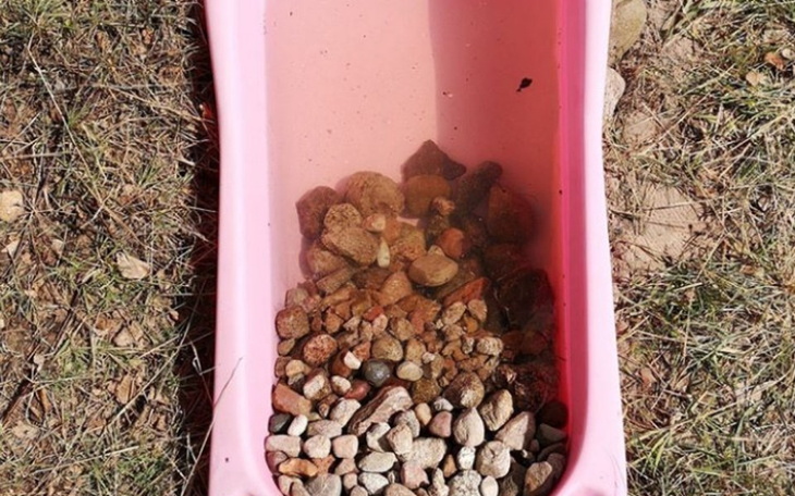 Zbiórka Pojemniki na picie dla zwierząt - zdjęcie główne