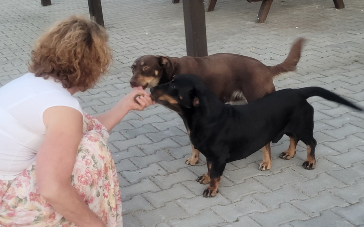 Zbiórka Ratunek dla pary z ulicy - zdjęcie główne