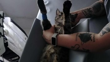 Zbiórka Niezbędna profilaktyka Psotki - miniaturka zdjęcia