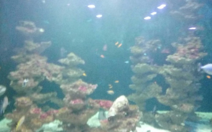 Zbiórka Pomoc  dla godnego zycia - zdjęcie główne