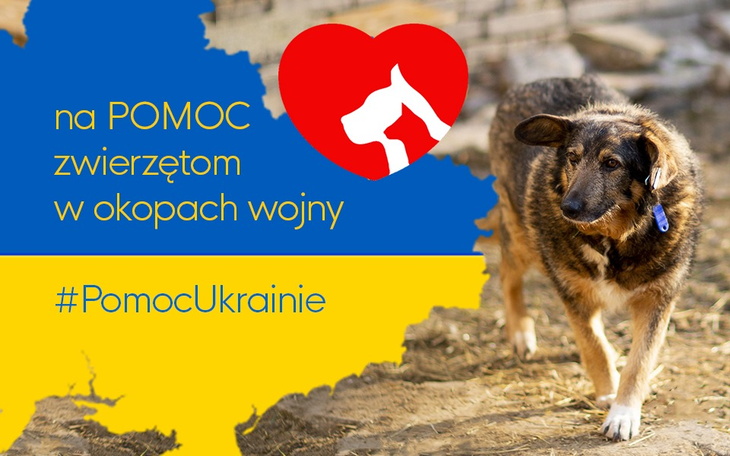 Zbiórka Pomoc zwierzętom w okopach wojny - zdjęcie główne