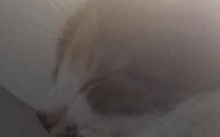 Zbiórka Prowo jazdy na 45 urodziny - zdjęcie główne