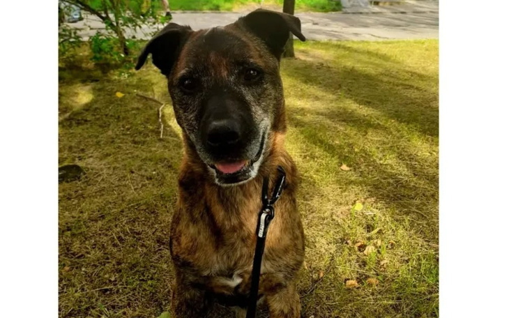 Obrazek ilustrujący wsparcie dla osób w trudnej sytuacji.