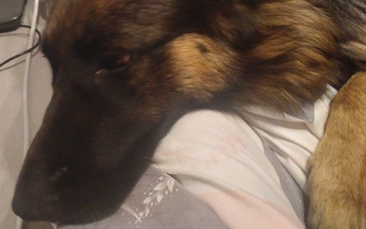 Zbiórka Błagam chociaż o - 1zł.. - zdjęcie główne