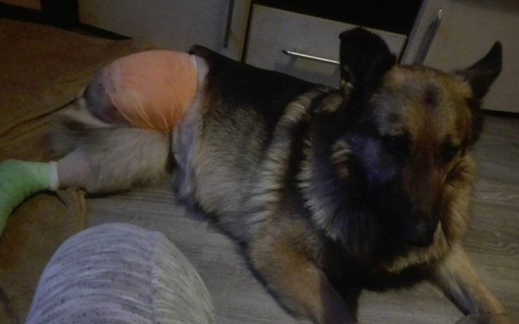 Zbiórka HERA walczy - zdjęcie główne