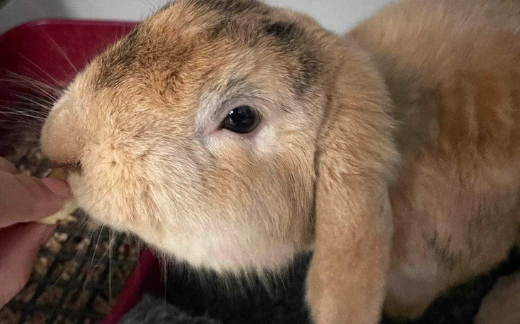 Zbiórka BadaniaLublin - zdjęcie główne