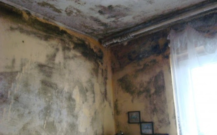 Zbiórka Na protezę nogi dla dziadka - zdjęcie główne