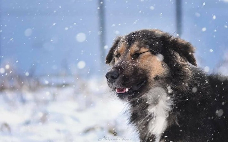 Zbiórka Western i Blanka uratujmy z hali - zdjęcie główne