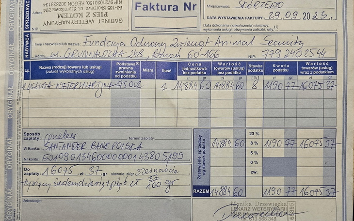 Zbiórka Pomóż nam opłacić leczenie kotów - zdjęcie główne