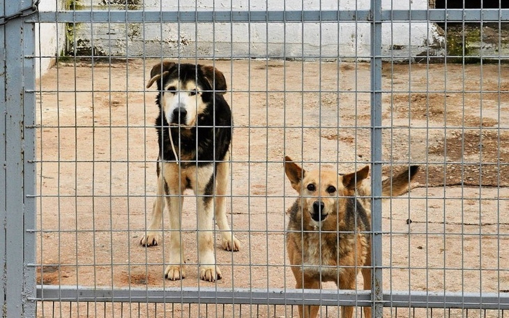 Zbiórka Na leki V2 - zdjęcie główne
