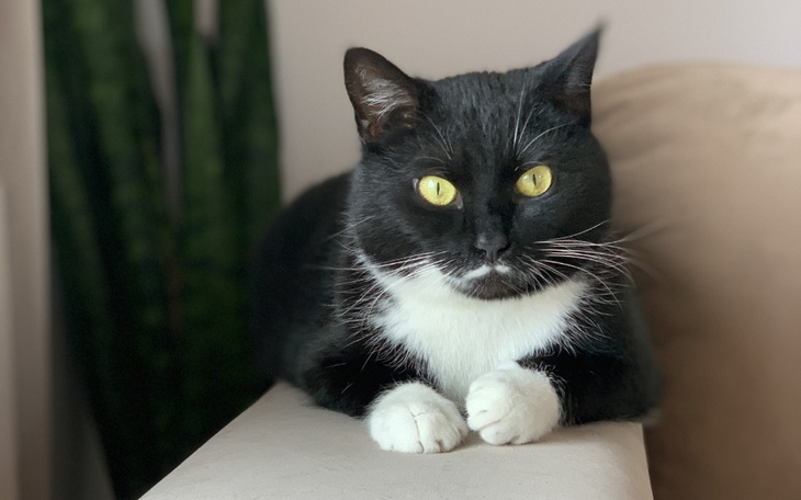 Zbiórka Pingwinkowa profilaktyka - zdjęcie główne