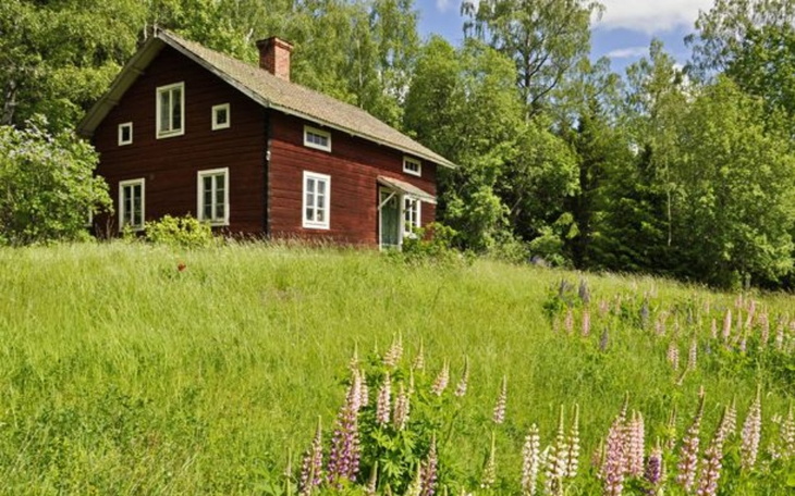 Zbiórka Pomoc na dom dla dziecka z dd - zdjęcie główne