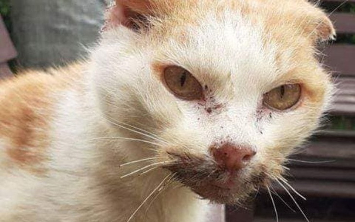 Zbiórka Opuszczony - zdjęcie główne