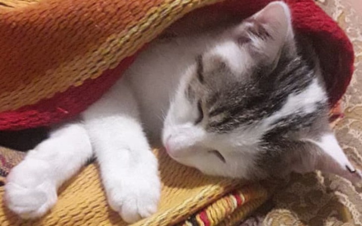 Zbiórka Zatorowość płucna - leczenie - zdjęcie główne