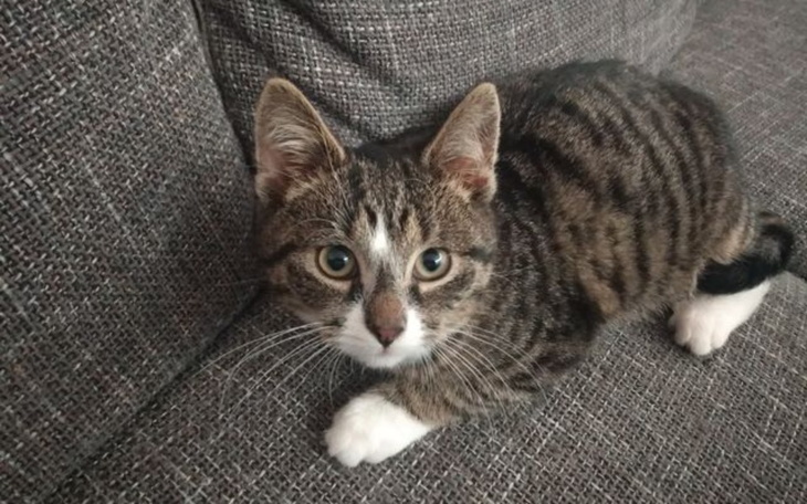 Zbiórka Pomóż Filipkowi wygrać z FiP - zdjęcie główne