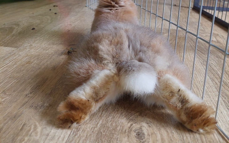 Zbiórka Ogrzewanie pampuszków w Uszatej - zdjęcie główne