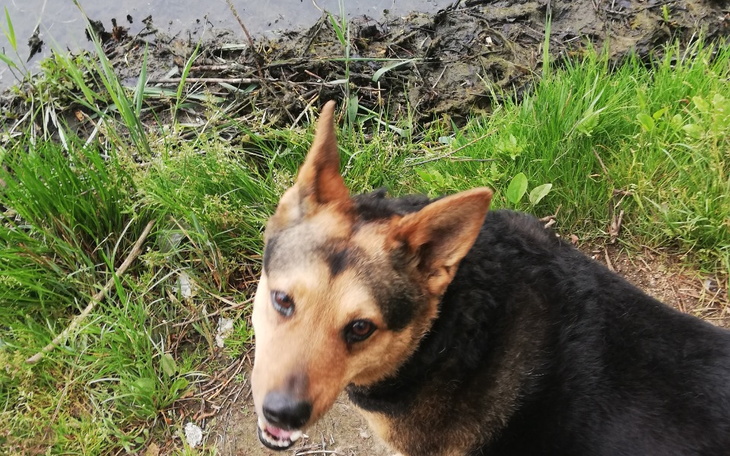 Zbiórka Tolcia - zdjęcie główne