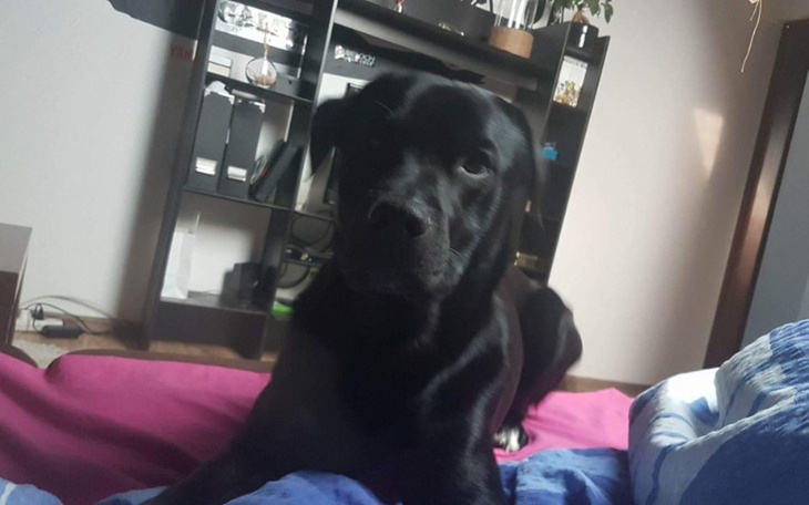 Zbiórka Chce zyc chce wrocic do rofziny - zdjęcie główne