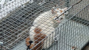 Zbiórka Śmierć na śniegu albo nowe życie - miniaturka zdjęcia