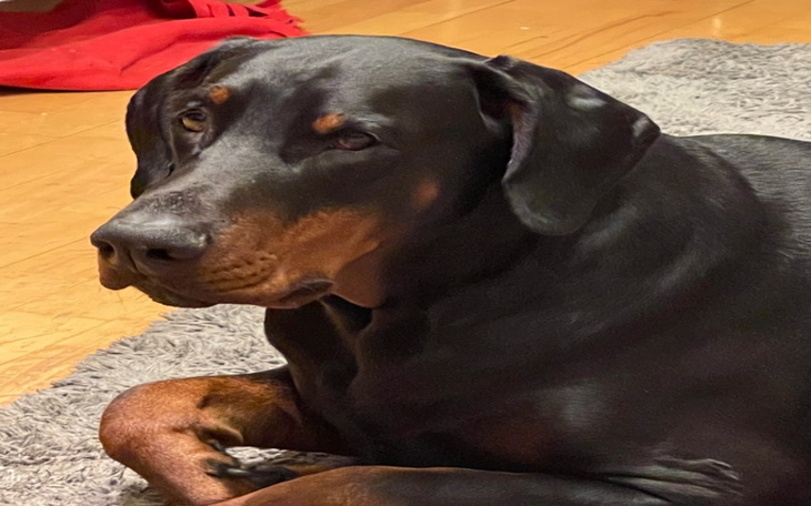 Zbiórka Dla Arona na operacje - zdjęcie główne