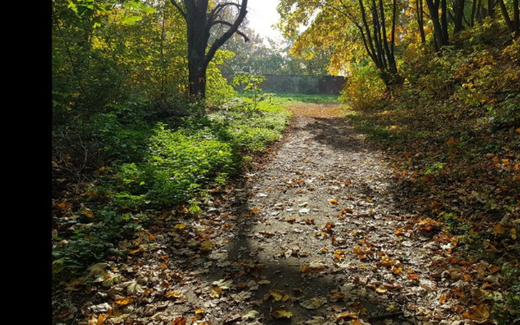 Zbiórka Lustrzanka aparat - zdjęcie główne