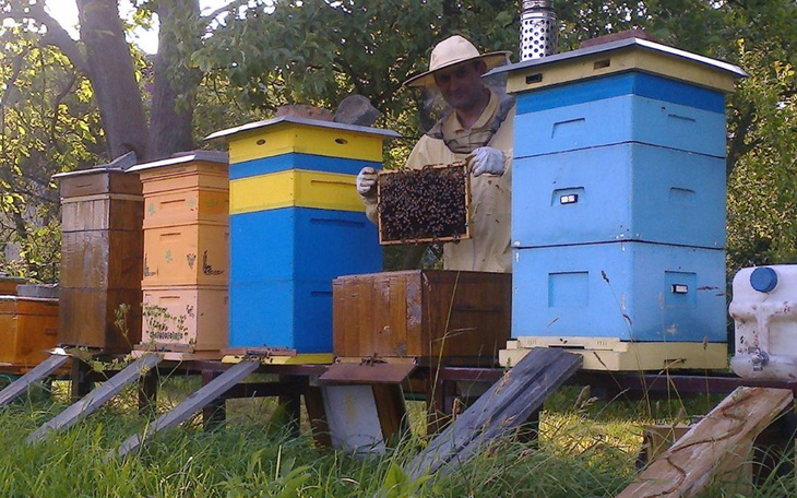 Zbiórka Miodarka Dla Pszczół - zdjęcie główne