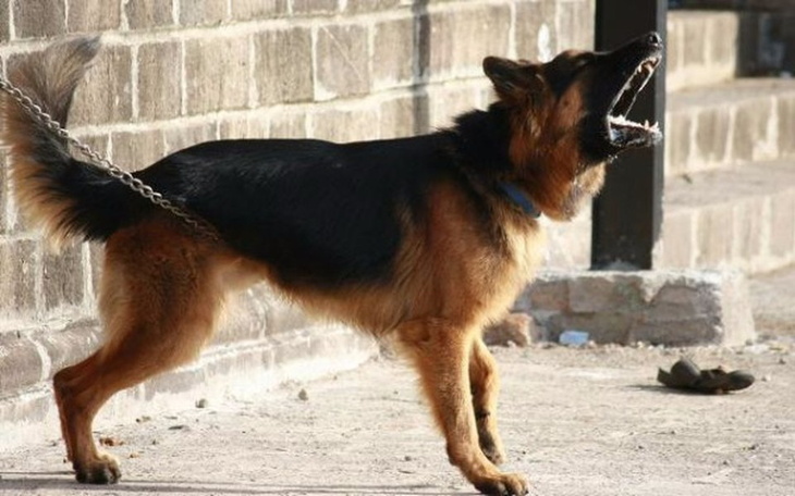 Zbiórka Pomoc dla 6 latka z Dubina - zdjęcie główne