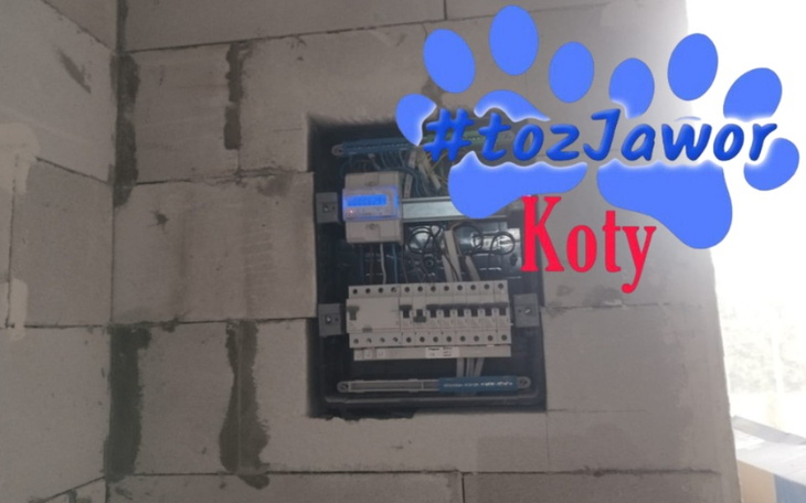 Tablica elektryczna w budowie, z prośbą o pomoc dla kotów.