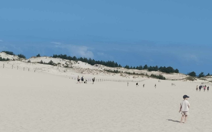 Zbiórka Pomoc mechanika i godne swieta - zdjęcie główne