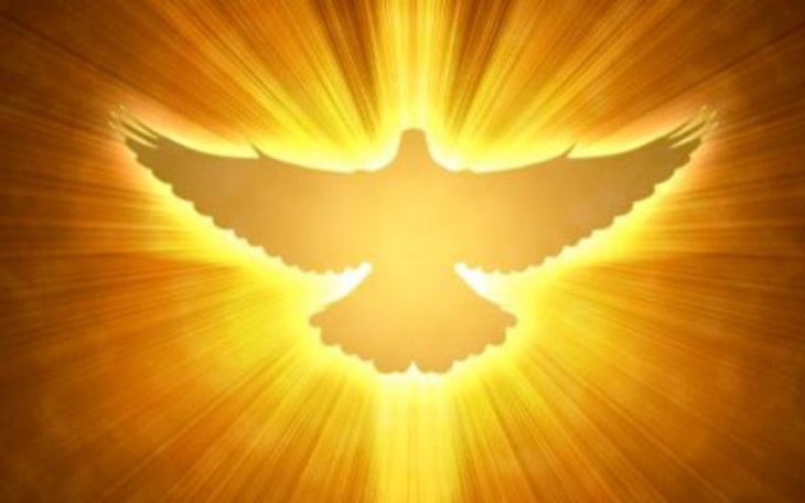 Gołąb w promieniach światła symbolizujący pokój.