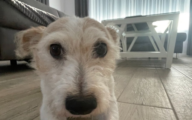 Zbiórka Potrzebuje na życie12 - zdjęcie główne