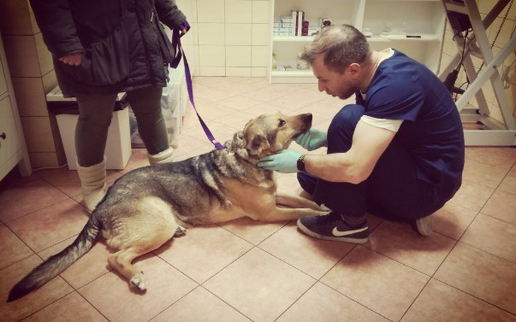 Zbiórka Uwolnijmy Romeo od guza - zdjęcie główne