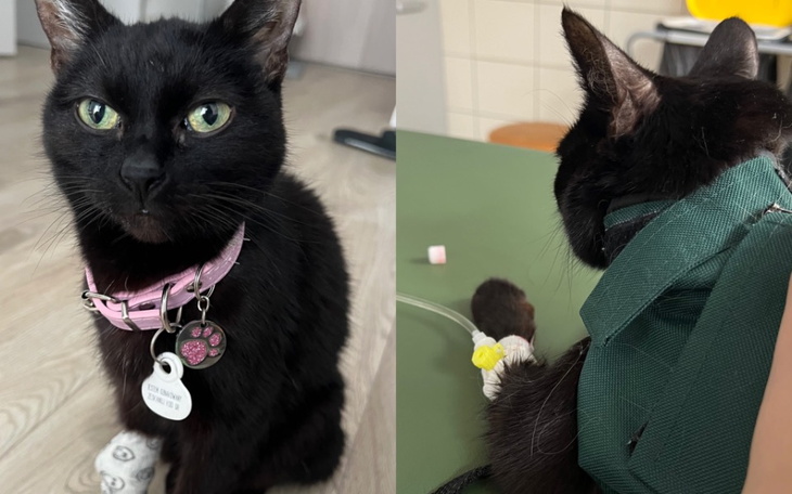 Zbiórka Na leczenie Balbinki - zdjęcie główne