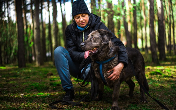 Zbiórka Na operację Pioruna - zdjęcie główne