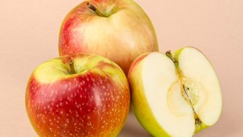 Zbiórka 200kg jabłek - miniaturka zdjęcia