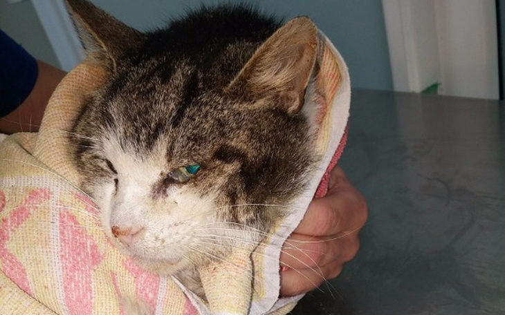 Zbiórka Fidel- umierał na ulicy - zdjęcie główne