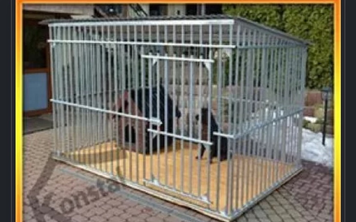 Zbiórka Kojec potrzebny na juz - zdjęcie główne