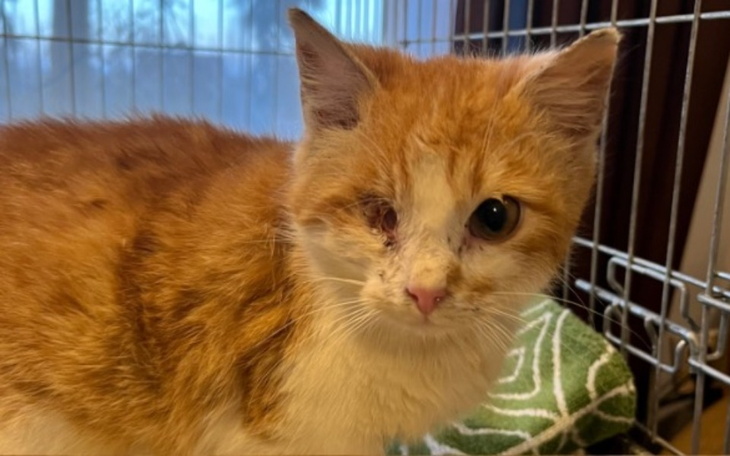 Zbiórka Zasługuje by żyć - zdjęcie główne