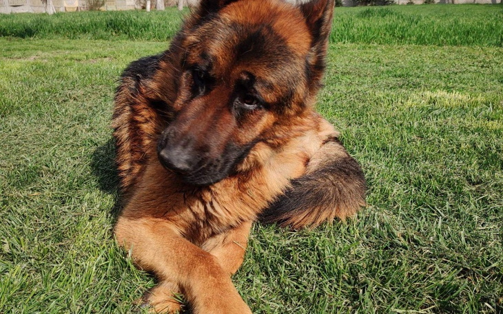 Zbiórka Ciagle ocierając się o śmierć.. - zdjęcie główne