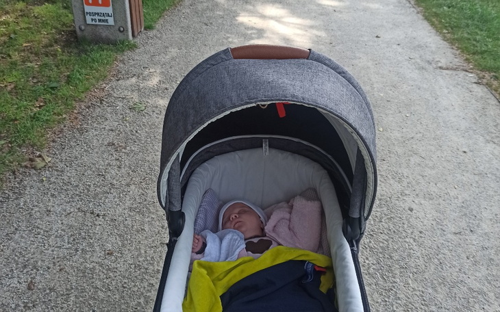 Zbiórka Walka o dzieci moje - zdjęcie główne