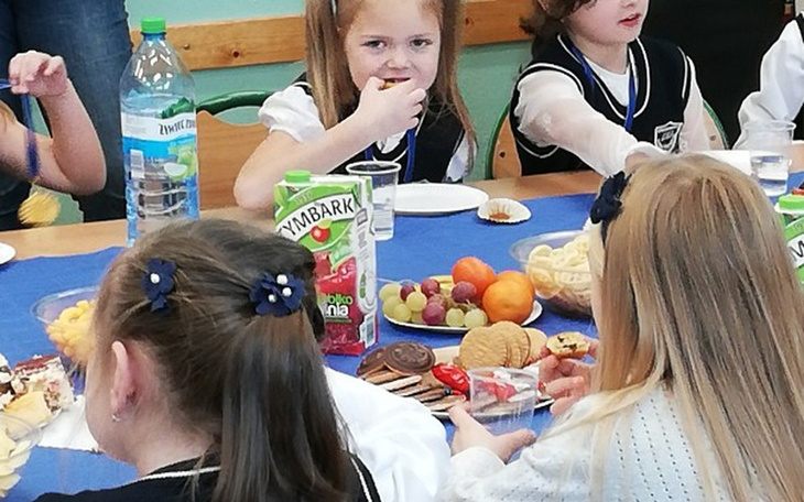 Zbiórka Na psa yorka - zdjęcie główne