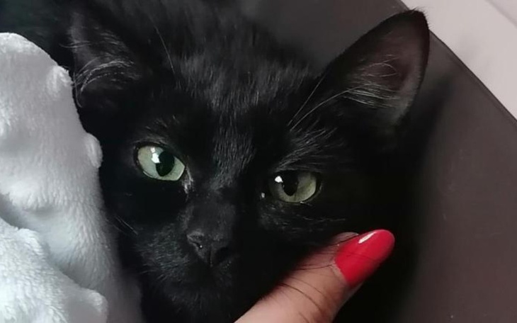 Zbiórka Walczymy o Gratkę - zdjęcie główne