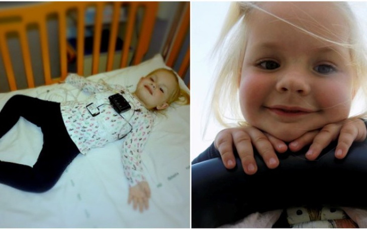 Zbiórka Nie pozwólmy Mai zginąć - zdjęcie główne