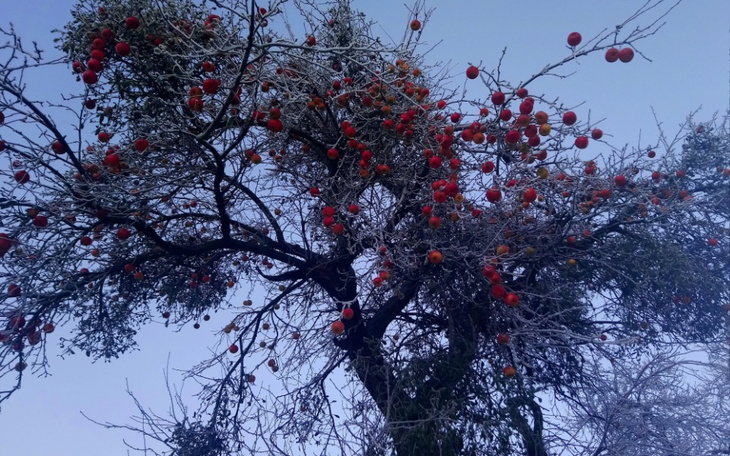 Zbiórka Nowy początek dla rodziny - zdjęcie główne