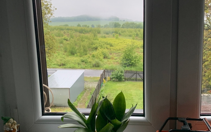 Widok z okna na zielony krajobraz.