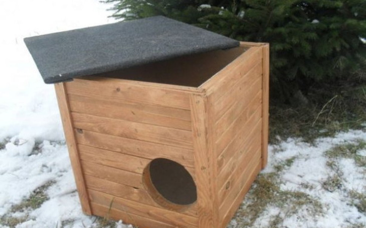 Zbiórka Budki dla kotów - zdjęcie główne