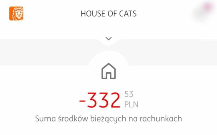 Zbiórka Ciężka sytuacja kotów bezdomnych - zdjęcie główne